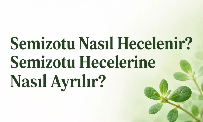 Semizotu Nasıl Hecelenir? Semizotu Hecelerine Nasıl Ayrılır? 1 semizotu nasıl hecelenir
