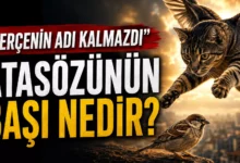 serçenin adı kalmazdı atasözü