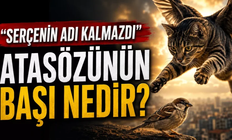 “Serçenin Adı Kalmazdı” Atasözünün Başı Nasıldır? 1 serçenin adı kalmazdı atasözü
