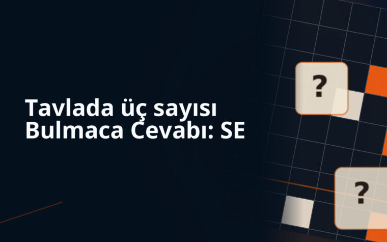 Tavlada üç sayısı Bulmaca Cevabı: SE bulmaca sorusu kapak görseli